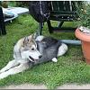 Besuch Tazanna und Pan 239